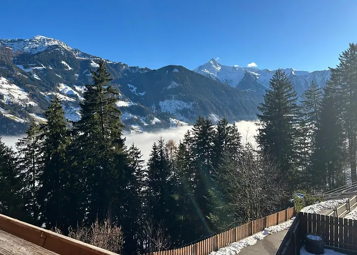 Apartment Schwendberg